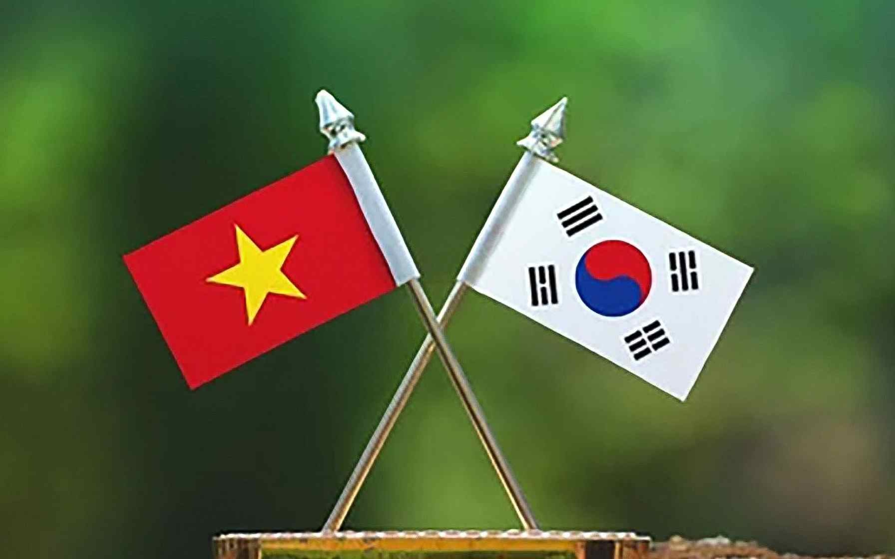 Viet Nam Han Quoc Nhung Buoc Tien Noi Troi Va Ky Vong Nang Tam Quan He 20221203131212 16717001575261261777889 120 0 1240 1792 Crop 167170016842343223252513 16 52 16 (2)